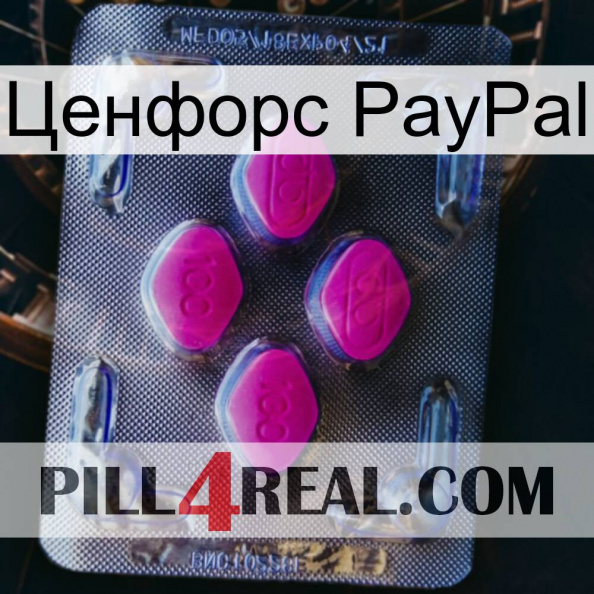 Ценфорс PayPal 02.jpg